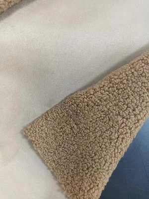 760gm Gewirkt Teddy lockiges Plüssiggewebe Kompositionssuede mit der gleichen Farbe