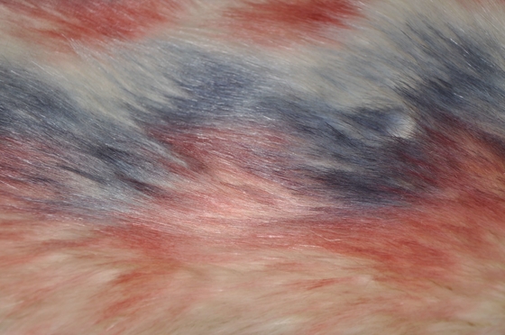 Haar-Plüsch 150cm Farben der Steigung drei stellen langer gefälschter Fox, entscheidende Wärme und Komfort für Winterausgangsdekor zur Verfügung
