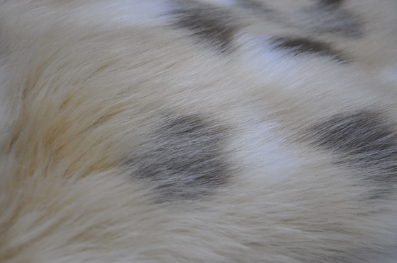 Mischjacquardwebstuhl Faux Fox-Plüsch, 150cm langer Haar-Fälschungs-Pelz, schaffen einzigartige Hauptdekor- und Vorhangentwürfe