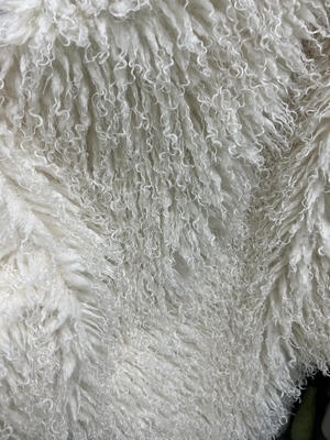 Weiße persische Wolle Locken und einzigartige High-End-Kleidung