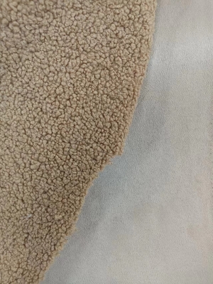 760gm Gewirkt Teddy lockiges Plüssiggewebe Kompositionssuede mit der gleichen Farbe